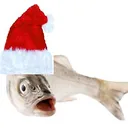 julfisk