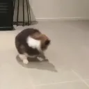 sandwich.exe
