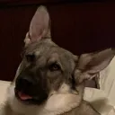 imkrypto