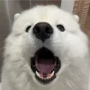 senko.fi