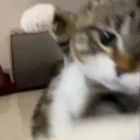bewbewsixseven