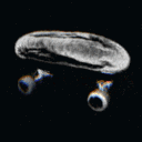 loafds