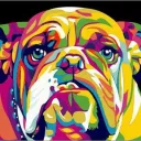 hailthebulldog