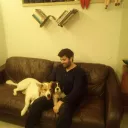 lazy_roy