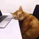 noomitutu
