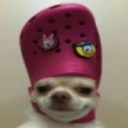 avatar 𝓟𝓵𝓾𝓶𝓐𝓚