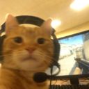 lissomphoenix