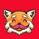 rayofpandas