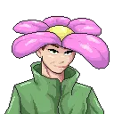donpetals