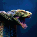black.cobra.ro
