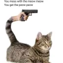 k1ttyclaw