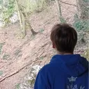 niwerbis