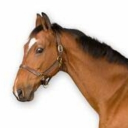 avatar That Pizza Tower Fan