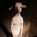 lilscipy