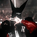 avatar 𐌔𐌉𐌋𐌄𐌍𐌂𐌄