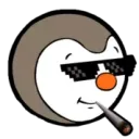 loxiwix5596
