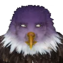 sandysxz