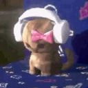 kisarase