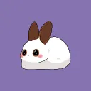 lilcoconvt