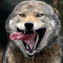 avatar Singera [Dé]