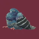 thickpigeon