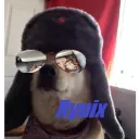 rynix_