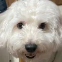 jooooo_29