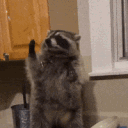 avatar jameson ʕ•́ᴥ•̀ʔっ