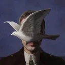 berkecore