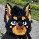 daswoelfchen