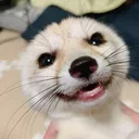 thefoxtato