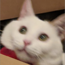 mocha0_0.