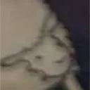sheepusbeepus
