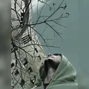 ABU yusif's Avatar