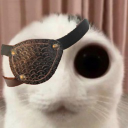zizz