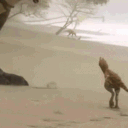 tyrannosaurium