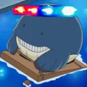 ssnnpbcc
