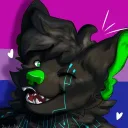 aurorathedragon