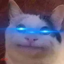 shedier avatar