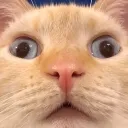 se7ens_au