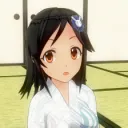 ibushiginp