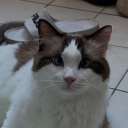 yueyuebanban#3674's avatar