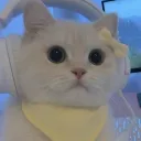 v.o.n.a