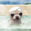ejejjejjj