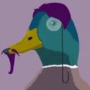 47ducks