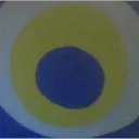 flotuna