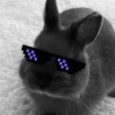 justyaboibonnie