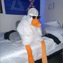 druut