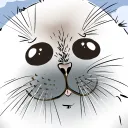 sealsfun