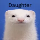 logandev
